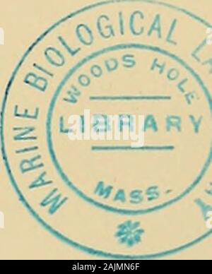 Nova Acta Regiae Societatis Scientiarum Upsaliensis. ud Scio einen Plu-res Patrias. Est, quod numerum specierum afferamus, quae ad unamquamque Par-tem orbis terrarum notwendigen Vel unicuique sunt duabus propriae vel Vel tri-bus partibus orbis terrarum sunt Gemeinden: In Europa reperiuntur: 17 (21) Arten, quarum Hae sunt Europsepropriae: Geiim hispidtim, G. molle^ G. pyrenaicum inclinatum, G., G. pal-lidum,, G. micropetalum ruhifolium, G., G. reptans, G. montanuin (G. ty-rolense rohiistum cognita et minus G., G. weiter zum et G, Incisum). In Asien 15 Arten, quarum huic Parti orbis terrarum propria Stockfoto