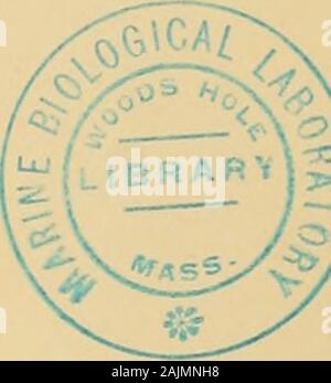 Nova Acta Regiae Societatis Scientiarum Upsaliensis. 6 (gg@ § jggiggigg) 19. o L litHß.tr.li.C-G Ho^^ Lmd. Micrasterias tnuicata. 3 Cosiiiamun imdiilatum. 4 Cosiu. coiis] persuiii T. E7:. tt-. - Cck. a&lt;: l, 1 Euastiinn vemistimi 5. Cosni. TlLwaitesii, 6 Ai-throdesmus Iiiciis. 2. Slaiirastnun Indeiitatiaa. Ö. Staur pilosum. 9. "Staxir. Laeve. 10. Docidiiim grazil. Us Clostemmi Sphaerozosiiia calosponmi. 12. l) amT) usinoides. 13. Hvalotheca dutia. Unterscheidung des Maxima und Minima DAÎs ^S UN PROBLÈME ISOPÉRIMÉTRIQUE. PAE-C.-E. LUNDSTRÖM. (Présenté À la Société Royale des Sciences dUpsal le 13 février 1. Stockfoto