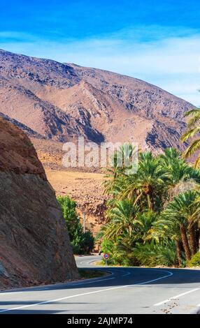 Berglandschaft Draa Tal Oasis, Marokko. Vertikale Stockfoto