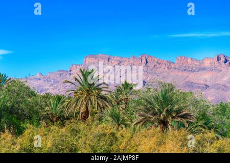 Berglandschaft Draa Tal Oasis, Marokko Stockfoto