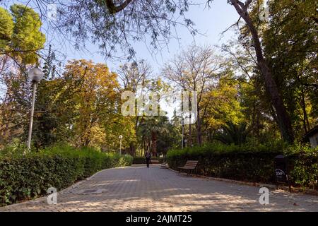 Konak, Izmir/Türkei - 22.11.2019 - Kulturpark und Ausstellungszentrum. Öffentlicher Park mit dem Namen Kültürpark (übersetzter Kulturpark). Stockfoto