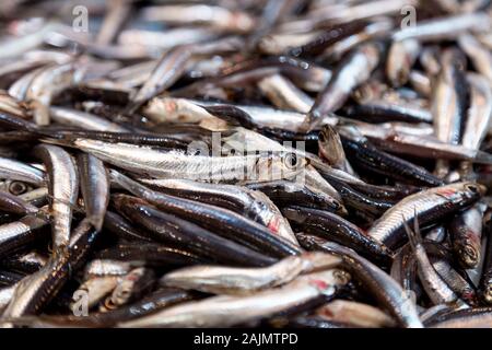 Fische am Mercat de l'Olivar, Palma, Mallorca, Spanien Stockfoto