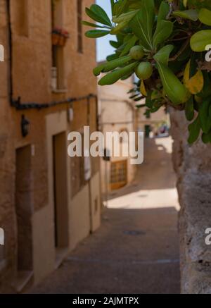 Avenue in kleinen spanischen Dorf Stockfoto
