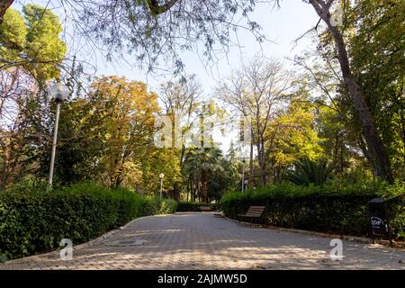 Konak, Izmir/Türkei - 22.11.2019 - Kulturpark und Ausstellungszentrum. Öffentlicher Park mit dem Namen Kültürpark (übersetzter Kulturpark). Stockfoto