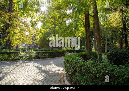 Konak, Izmir/Türkei - 22.11.2019 - Kulturpark und Ausstellungszentrum. Öffentlicher Park mit dem Namen Kültürpark (übersetzter Kulturpark). Stockfoto