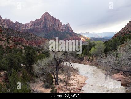 Virgin River vom Canyon Junction Brücke auf dem Mount Carmel HIghway bei Sonnenuntergang, der Zion National Park Stockfoto