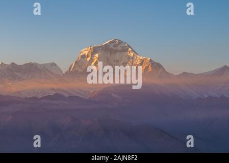 Dhaulagiri massiv in Nepal von Poonhill gesehen Stockfoto