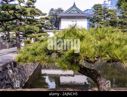 Guard tower über Graben durch Kikyomon Gate in Tokyo im Imperial Palace Japan Stockfoto