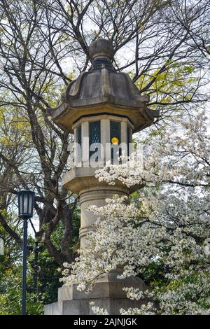 Traditionelle Stein Laterne mit Kirschblüten in Tokio, Japan. Cherry Blossom Festivals sind eine der schillerndsten Ereignisse des Jahres in Japan. Stockfoto