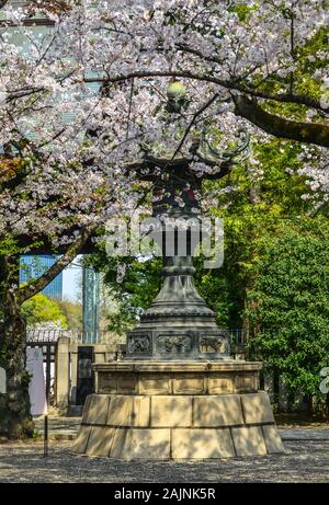 Tokio, Japan - Apr 7, 2019. Traditionelle Stein Laterne mit Kirschblüten in Tokio, Japan. Cherry Blossom Festivals sind eine der schillerndsten Event Stockfoto