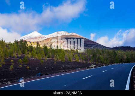 Spanien, Teneriffa, Straße durch chinyero Chinyero bäume wald natur landschaft und schwarze Lava mit Nebel Wolken und weißen, schneebedeckten Gipfel des Vulkan Stockfoto