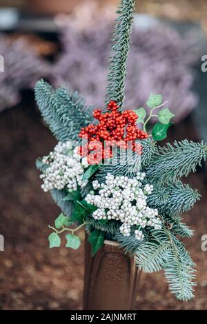 Zierpflanzen im Topf mit Nadeln und roten und weißen Beeren angebaut Stockfoto