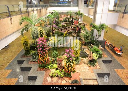 Singapur - März 5, 2018 - eine Orchidee Garten und Koi-teich willkommen Reisende, die auf der Welt von Singapur - Changi Airport bekannt Stockfoto
