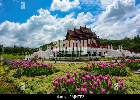 Rosa Blume Gärten durch den Pavillon im Royal Park Rajapruek in Chiang Mai, Thailand Stockfoto