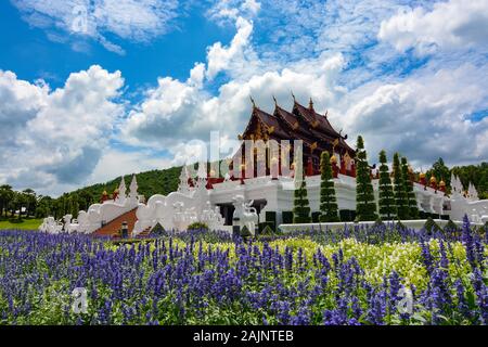 Blaue Blume Garten vor dem Pavillon im Royal Park Rajapruek in Chiang Mai, Thailand Stockfoto