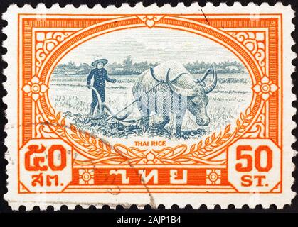 Bauer und Ochse im Reisfeld auf vietnamesischem Stempel Stockfoto