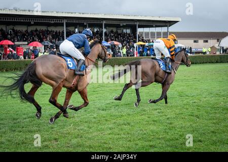 Das Pferd Molineaux, von Jonjo O'Neill Jr. geritten und von Colin Tizzard ausgebildet, im Rennsport die BoyleSports Handicap Steeple Chase bei Wincanton zu gewinnen. Stockfoto