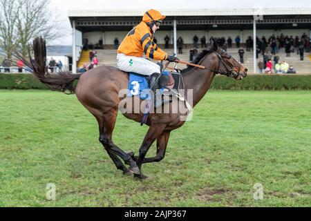 Das Pferd Molineaux, von Jonjo O'Neill Jr. geritten und von Colin Tizzard ausgebildet, im Rennsport die BoyleSports Handicap Steeple Chase bei Wincanton zu gewinnen. Stockfoto