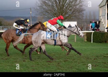 Graues Pferd Arriverderci springen die letzte Hürde im BoyleSports maiden Hürde Rennen in Donington zu gewinnen. Von Jonjo O'Neill Jr. geritten Stockfoto