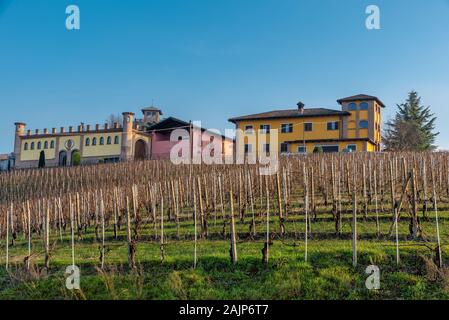 Neive und Barbaresco, zwei bezaubernde Orte auf den sanften Hügeln der Langhe, die zum UNESCO-Weltkulturerbe gehört. In diesen Gebieten die besten Weine aus Piemons Stockfoto