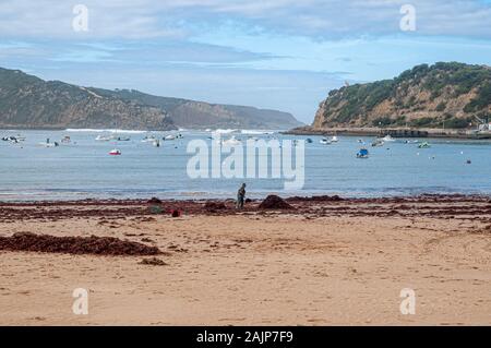 Bucht von Sao Martinho do Porto ist eine Gemeinde (Freguesia) in Alcobaça Gemeinde, in Oeste Subregion Portugals. Anwohner sammeln die Seaw Stockfoto