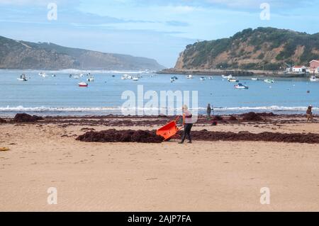 Bucht von Sao Martinho do Porto ist eine Gemeinde (Freguesia) in Alcobaça Gemeinde, in Oeste Subregion Portugals. Anwohner sammeln die Seaw Stockfoto