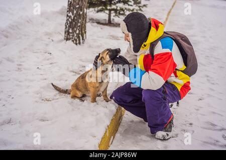 Junge männliche Snowboarder spielt mit Welpen bei einem Skigebiet im Winter Stockfoto