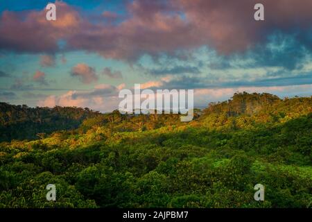 Panama-Landschaft im frühen Morgenlicht in Garduk in der Wildnis Narganas, Comarca Guna Yala, Republik Panama. Stockfoto