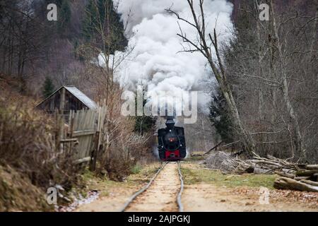 Mocanita, der dampfzug aus Maramures, Rumänien. Stockfoto