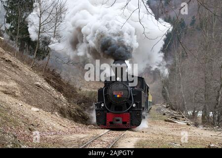 Mocanita, der dampfzug aus Maramures, Rumänien. Stockfoto