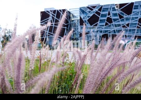 Garten von Juan José Arreola Öffentliche Bibliothek. Guadalajara, Jalisco. Mexiko Stockfoto