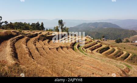 Nord Thailand Dorf Terrassen Bauernhof in Baan pa-bong piang Stockfoto