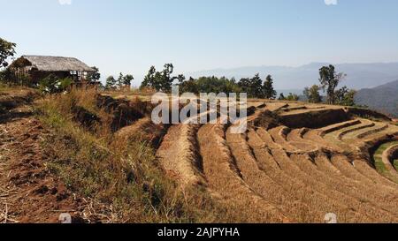 Nord Thailand Dorf Terrassen Bauernhof in Baan pa-bong piang Stockfoto