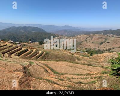 Nord Thailand Dorf Terrassen Bauernhof in Baan pa-bong piang Stockfoto