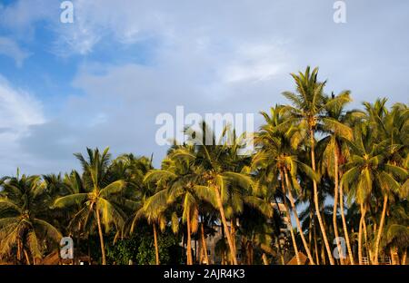 Tropical Beach in einem warmen Sommer Sonnenuntergang. San Pancho, Nayarit. Mexiko Stockfoto