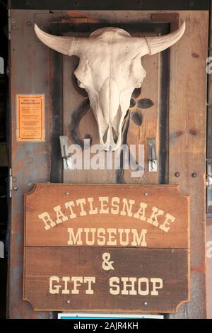 Rattlesnake Museum, Altstadt, Albuquerque, New Mexico, USA Stockfoto