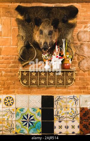 Gefüllter Wildschweinkopf hängt an einer Wand Stockfoto