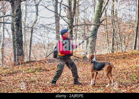 Jäger mit Waffe Jagd und Hund jagen im Wald Stockfoto