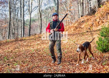 Jäger mit Waffe Jagd und Hund jagen im Wald Stockfoto