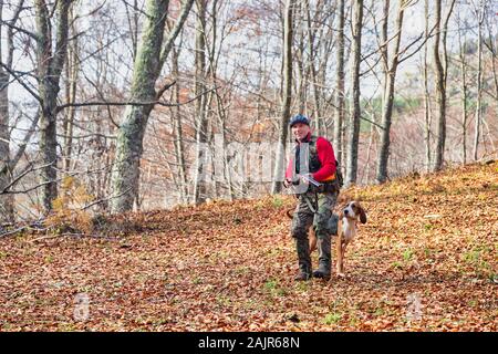 Jäger mit Waffe Jagd und Hund jagen im Wald Stockfoto