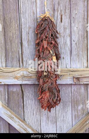 Getrocknete Chilis, Chili Ristras, Madrid, ehemalige Bergbaustadt im Ortiz Berge, Türkis Trail, New Mexico, USA Stockfoto