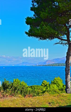 Einen atemberaubenden Blick über eine hübsche Bucht, in der Nähe von Lassi und schaut in Argostoli, mit Bergen im Hintergrund. Baum im Vordergrund. Stockfoto