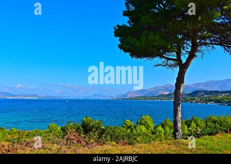 Einen atemberaubenden Blick über eine hübsche Bucht, in der Nähe von Lassi und schaut in Argostoli, mit Bergen im Hintergrund. Baum im Vordergrund. Stockfoto