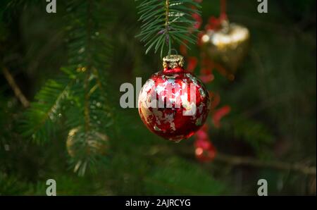 Weihnachten im Wald Stockfoto