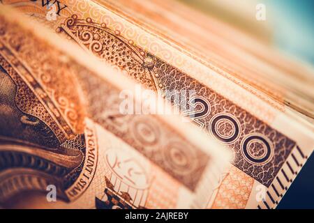 Polnischer Zloty zwei Hunderte Banknoten closeup Foto. Wirtschaft und Business Themen. Stockfoto