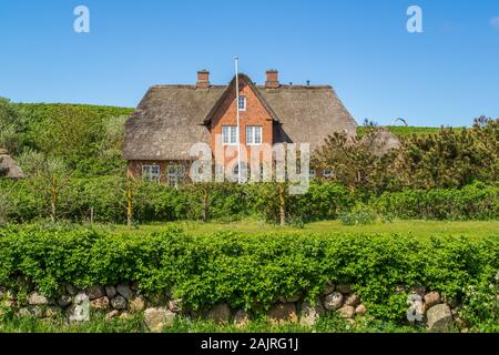 Typisches Reetdachhaus in Nordfriesland Stockfoto
