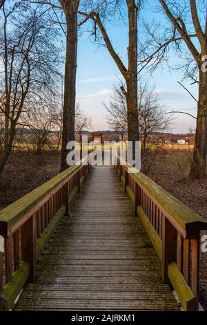 Board Gehweg in Moore typischer Wanderweg Stockfoto