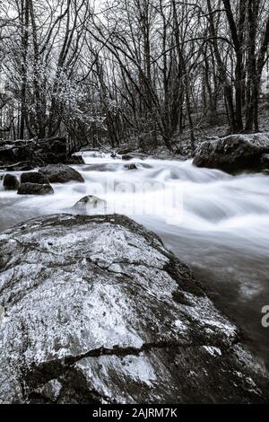 Schwarz und Weiß auf den Fluss Fowey läuft durch den Wald und über Geröll an Golitha Falls National Nature Reserve im Winter Stockfoto