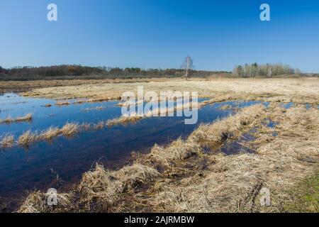 Wasser auf eine wilde Wiese, Horizont und Sky Stockfoto