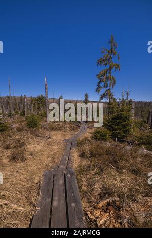 Board Gehweg in Moore typischer Wanderweg Stockfoto